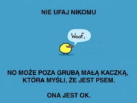 Nie ufaj nikomu