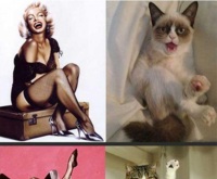 Kobiety - koty ;D Zobacz śmieszne odpowiedniki zdjęć!