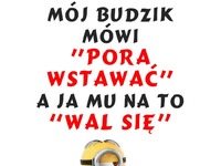 Zawsze rano