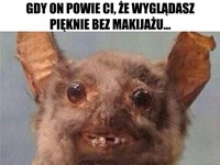 Chyba Ci nie wierzę!