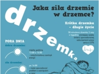 Zobacz jaka siła drzemie w drzemce! ;)