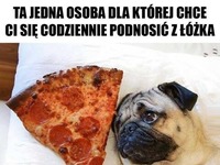 Żyje tylko dla Ciebie