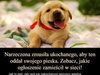 Narzeczona zmusiła ukochanego, aby oddał pieska. Zobacz co w tej sytuacji zrobił ;)