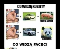 Inny punkt widzenia kobiet i mężczyzn... Zobacz różnicę!