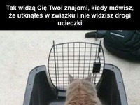 Tak widzą Cię Twoi znajomi, kiedy mówisz, że utknęłaś w związku...