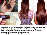 Wypadają Ci włosy? Wystarczy dodać te trzy składniki do szamponu, a Twoje włosy przestaną wypadać!