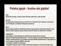 Na języku polskim można połamać sobie język :D