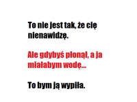 Nie nienawidzę...