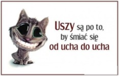 Już wiesz po co masz uszy!