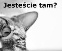 Jesteś?