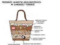 Przekrój WARSTW geologicznych w DAMSKIEJ TOREBCE- haha MOCNE! ;d