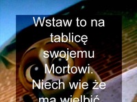 Wielb moje stopy ;D