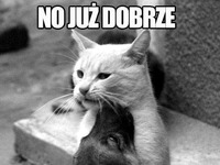 No już dobrze...