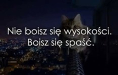 Nie boisz się wysokości