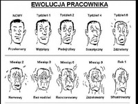 Ewolucja pracownika ;) Na jakim etapie już jesteś?