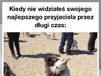 Dawno się nie widzieliśmy stary!