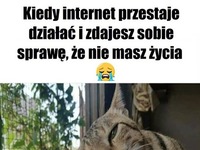 Co ja teraz zrobię