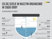 Co się dzieje w naszym organiźmie w ciągu doby