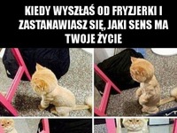 Co ja zrobiłam ;(