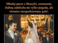 Młodej parze ceremonię ślubną zakłócił niespodziewany gość ;)