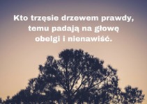 Kto trzęsie drzewem prawdy...