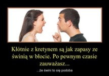 Kłótnie z kretynem