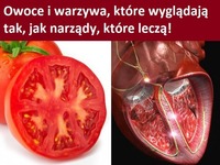 Owoce i warzywa, które wyglądają jak narządy i pomagają w ich leczeniu!