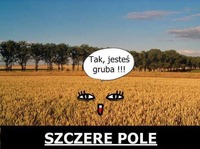 Szczere pole