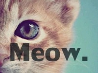 Meow.