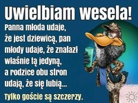 Uwielbiam wesela!