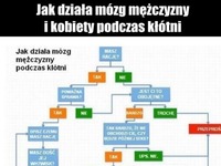 Jak działa MÓZG FACETA i KOBIETY podczas KŁÓTNI! Musisz to zobaczyć haha