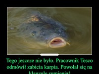 Pracownik Tesco odmówił zabicia karpia. Powołał się na klauzulę sumienia