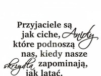 Przyjaciele sa jak anioły