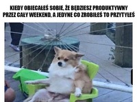 Zawsze to się tak kończy