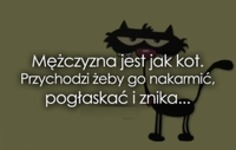 Mężczyzna jest jak kot