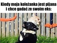 Ratuj się kto może