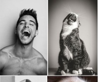 Faceci czy koty?  Zobacz te same zdjęcia i wybierz lepsze :P