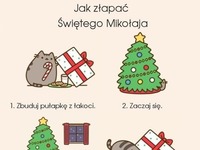 Jak złapać Świętego Mikołaja ;D