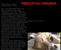 Przeczytaj uważnie! Zobacz jak wygląda miłość psa do człowieka! Wzruszająca historia...