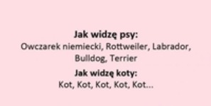 Jak widzę psy, a jak koty