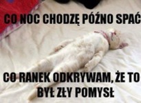 Co noc chodzę późno sać