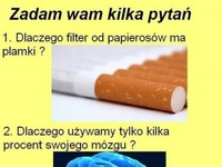 Kilka pytań... Znacie odpowiedź?