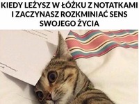 Kiedy leżysz w łóżku...