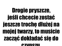 Drogie pryszcze ;P