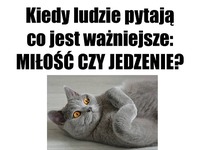 Jedzenie zawsze wygrywa ;)