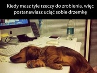 Kiedy masz tyle rzeczy do zrobienia