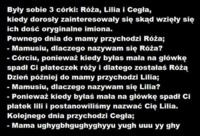 Matka miała trzy córki Różę, Lilię i Cegłę. pewne dnia spytały się dlaczego mają takie imiona...
