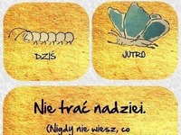 Nie trać nadziei!