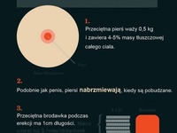 Ciekawostki, które musisz WIEDZIEĆ o kobiecych BIUSTACH!