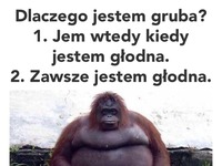 Dlaczego jestem gruba...